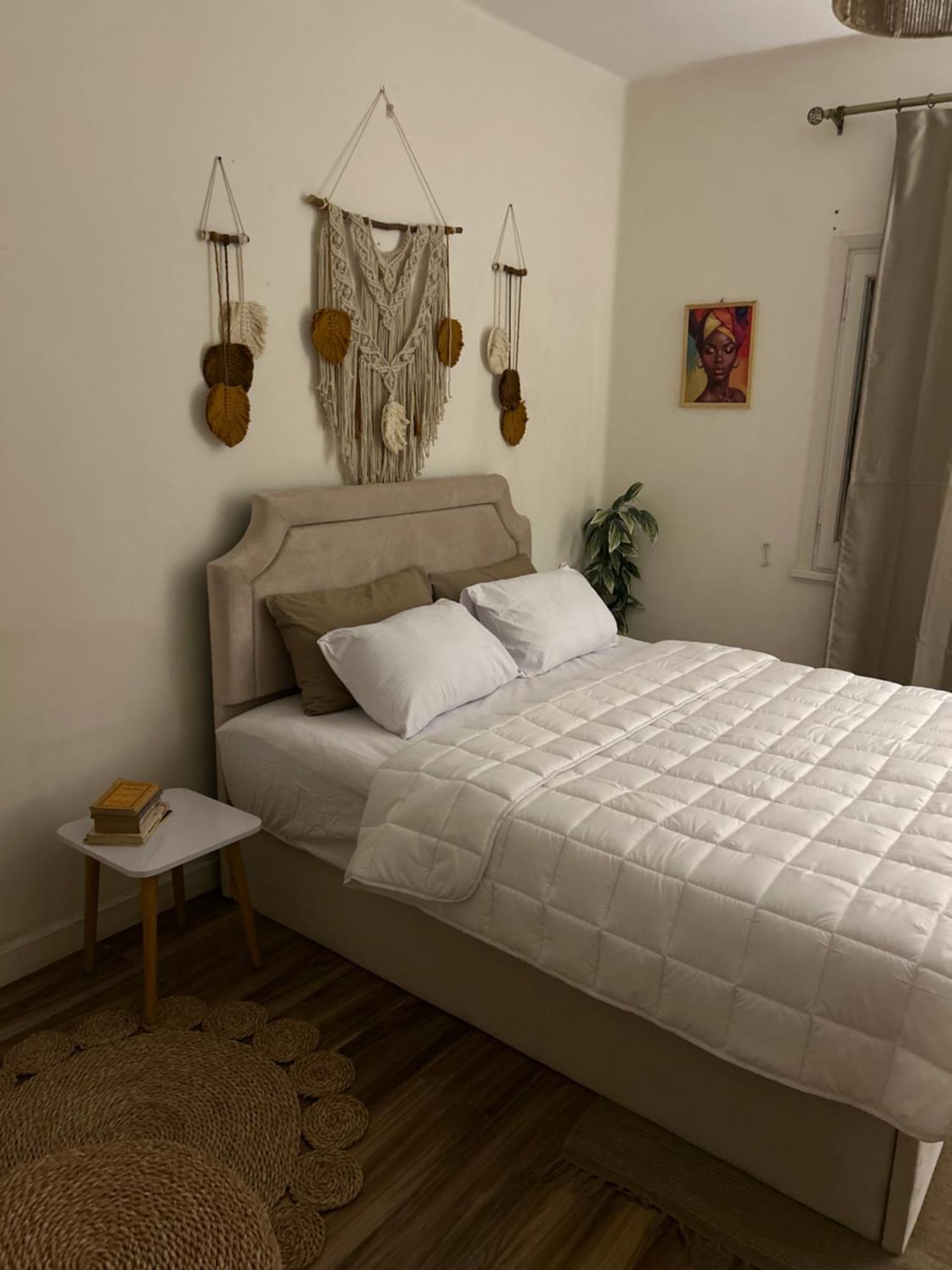 Cosy Flat Downtown French Institute View Cairo